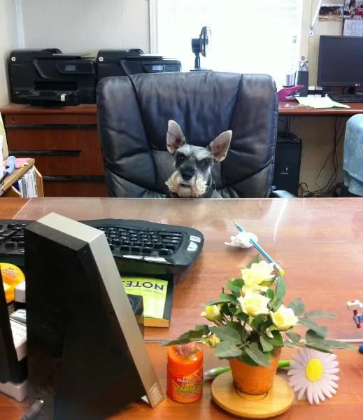 Slide of City Electric