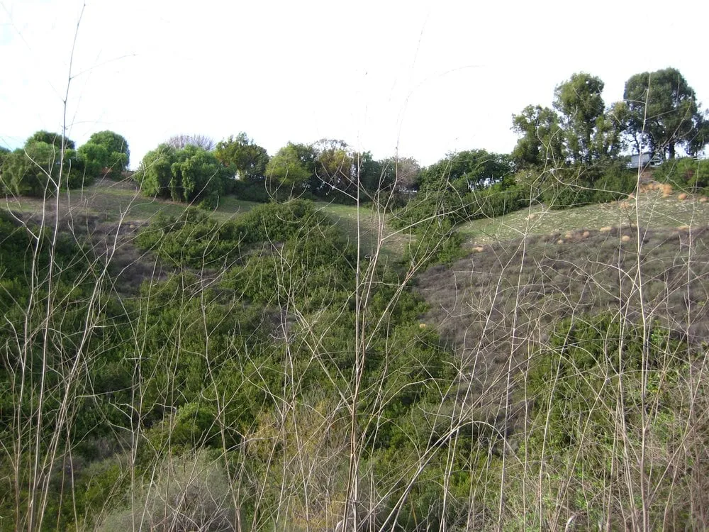 Slide of CJ's Electrical And Beyond