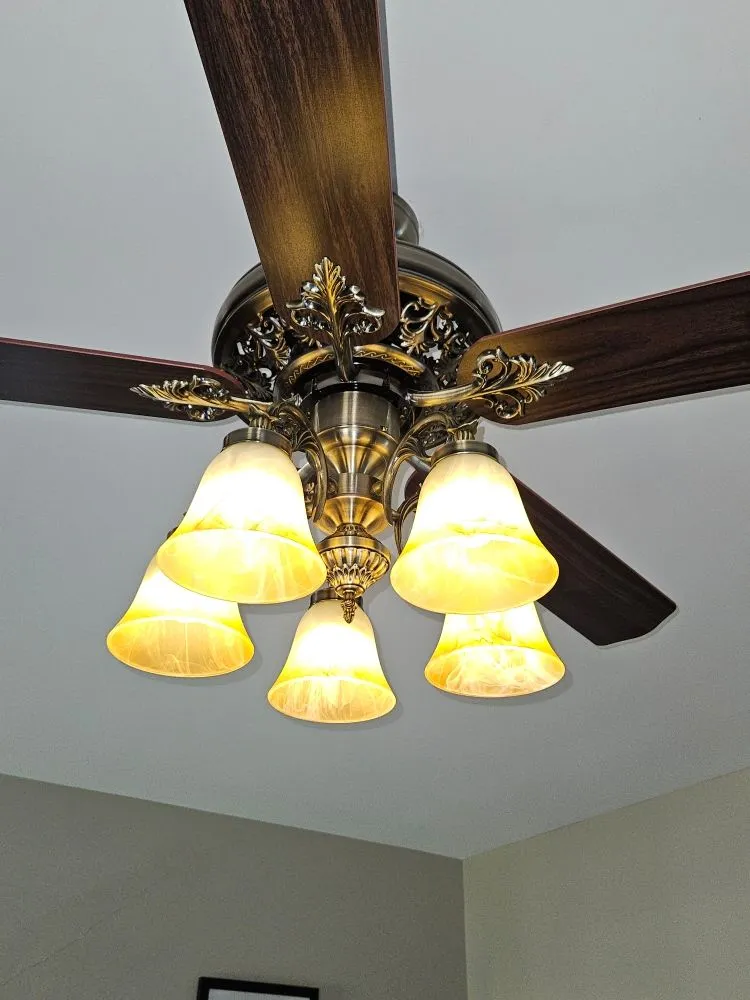 Professional electrician providing circuit breaker repair in Summertown, TN - CJ's Handyman