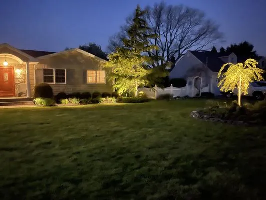 CJs Landscape Lighting