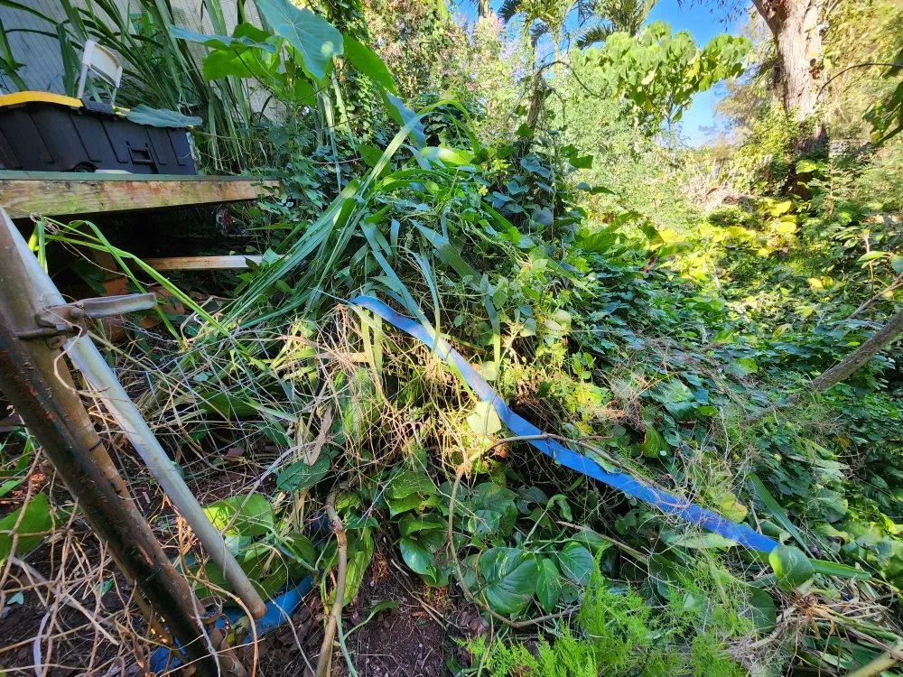 Slide of CK Handy Services