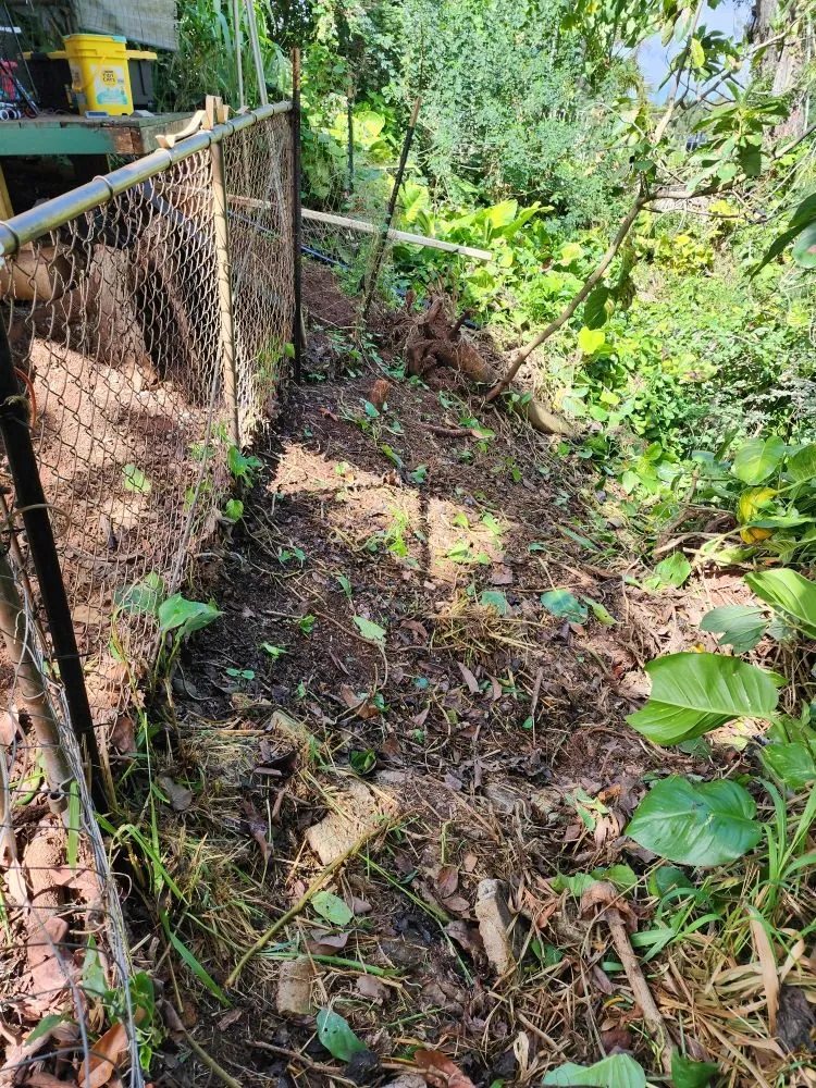 Slide of CK Handy Services