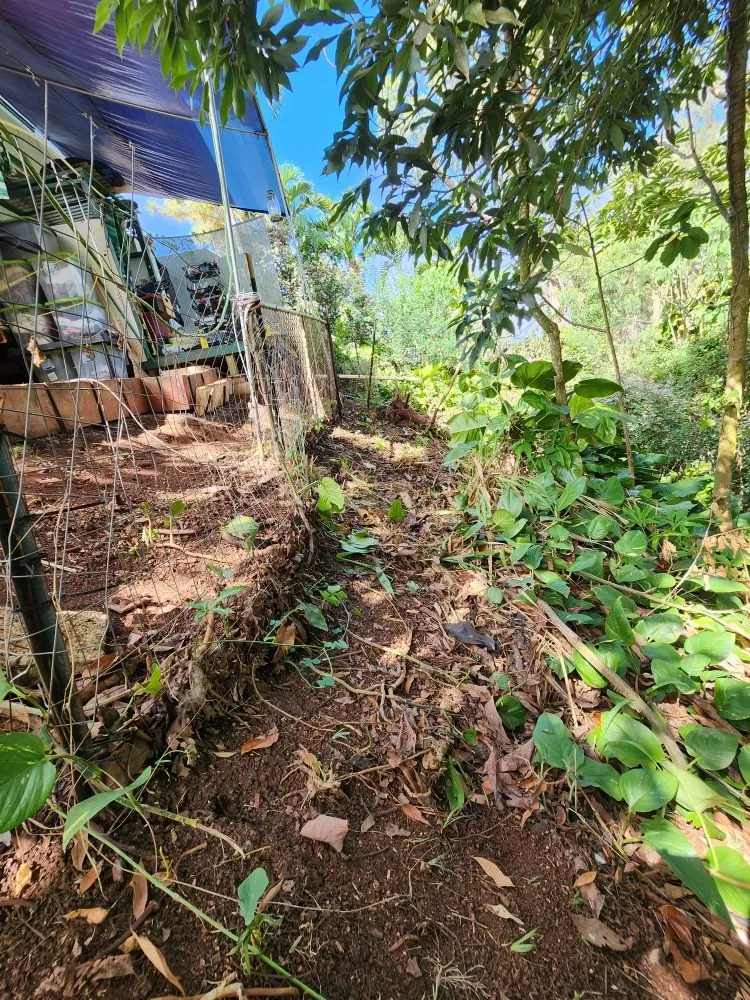 Slide of CK Handy Services