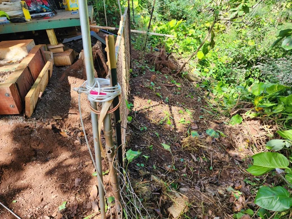 Certified electrician providing electrical repair in Kaaawa, HI - CK Handy Services