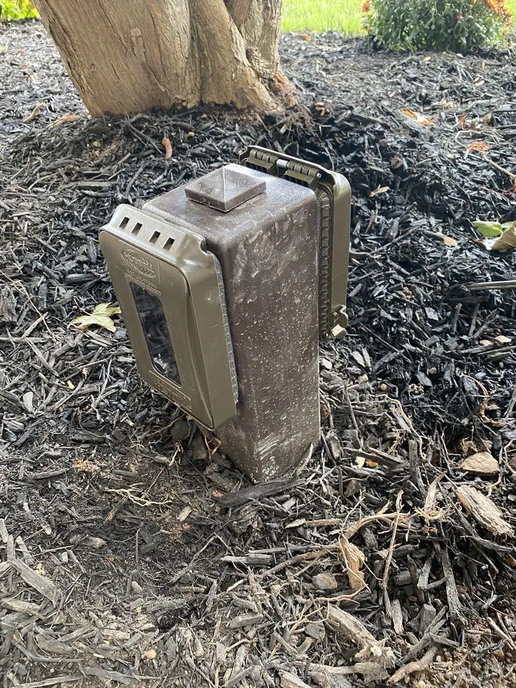 Slide of Classic Electric