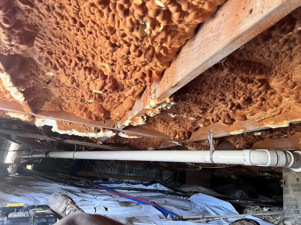 Slide of Clay Risner