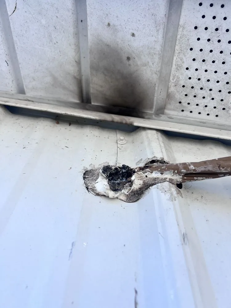 Slide of Clay Risner