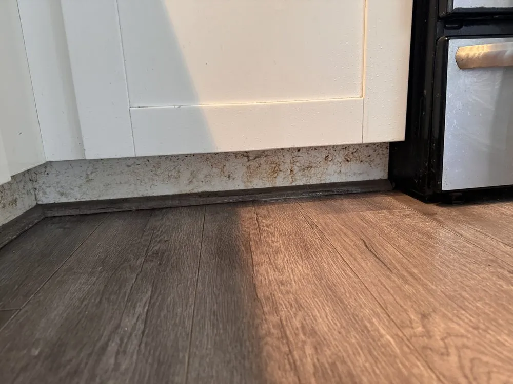 Slide of Clean & Handee