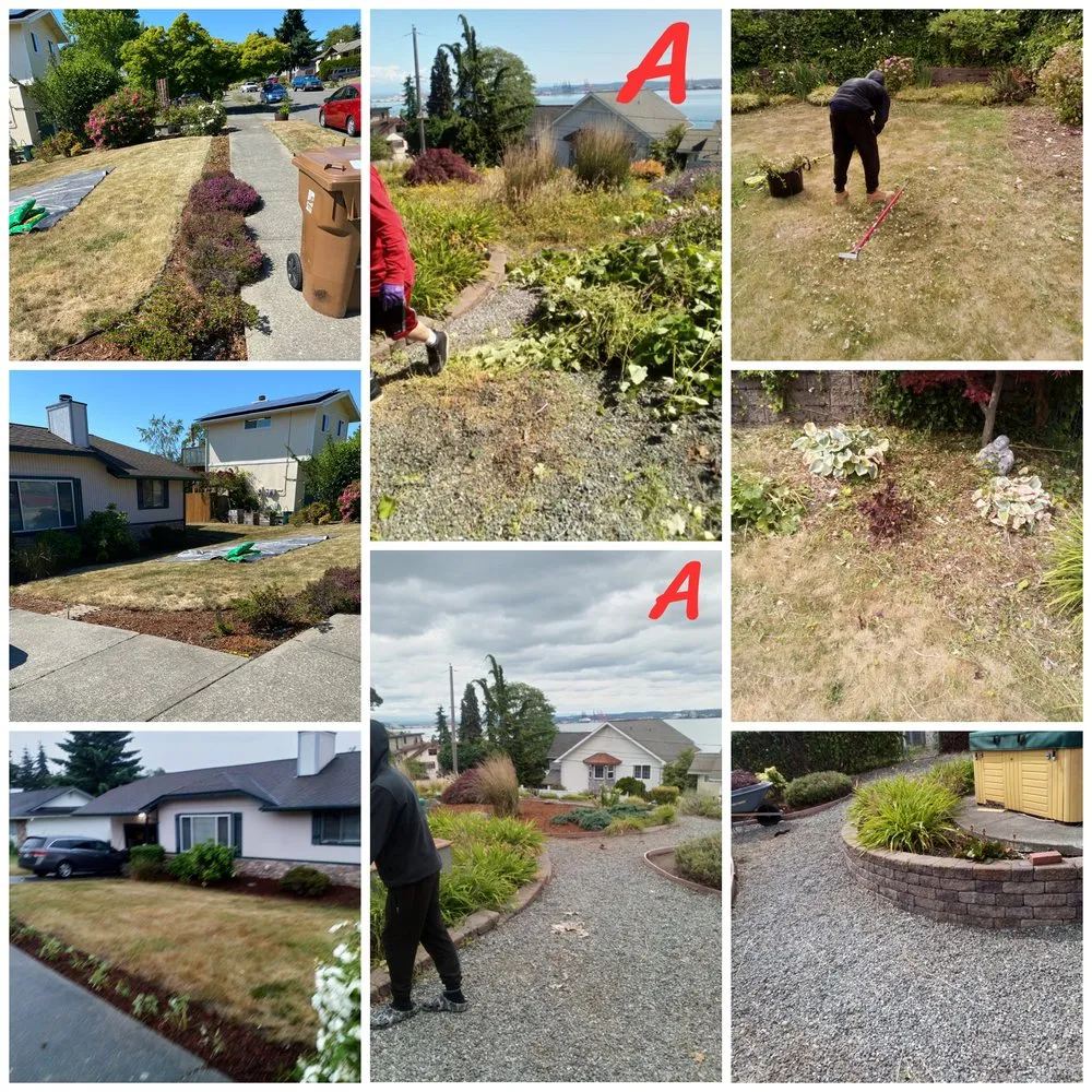 Slide of Cline & Maib