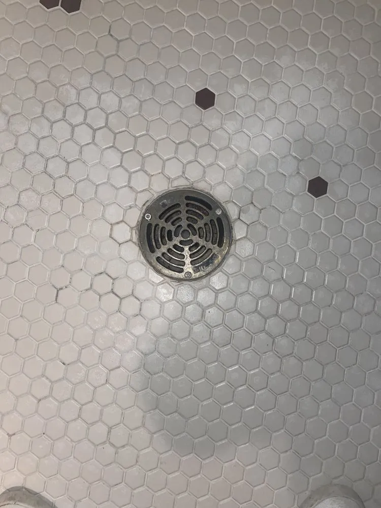 Slide of Cline & Maib