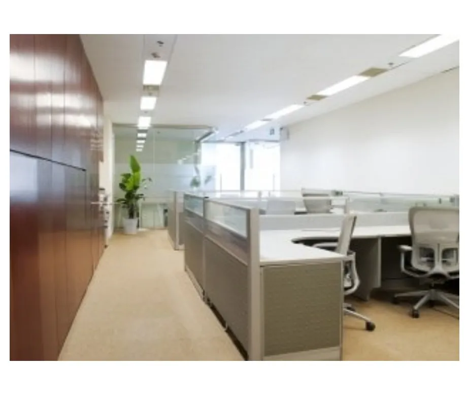 Slide of CLP Electric