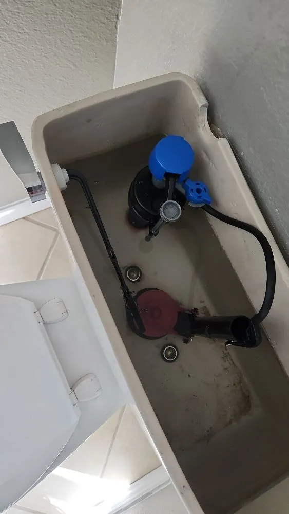 Slide of CLS Services