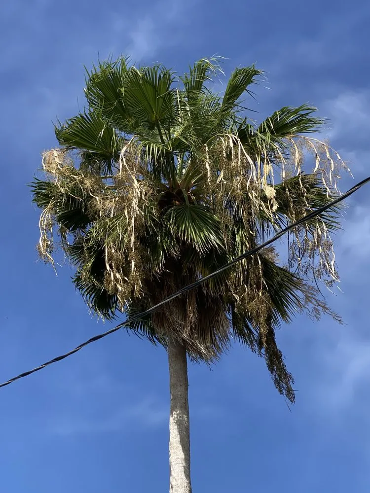 Slide of Clutch Solutions