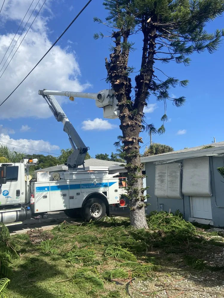 Slide of Clutch Solutions