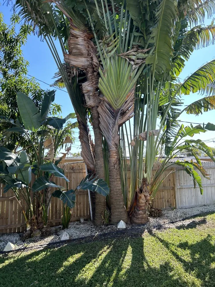 Slide of Clutch Solutions