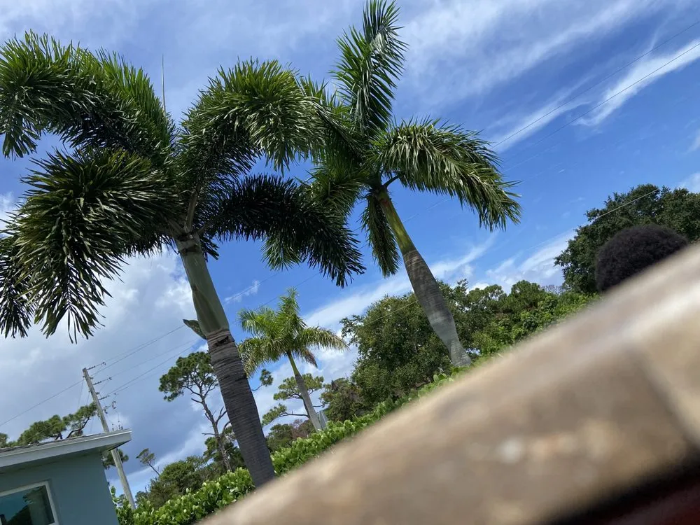 Slide of Clutch Solutions