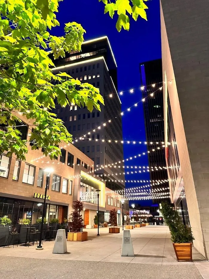 Slide of CM Armitage