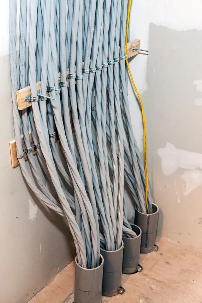 Slide of CM Armitage