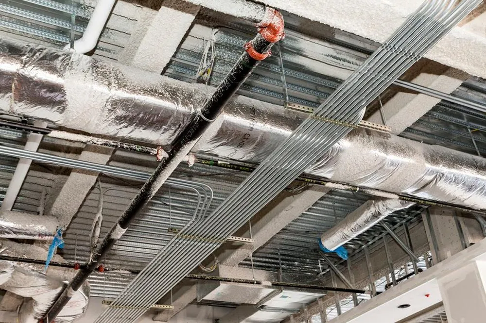 Slide of CM Armitage