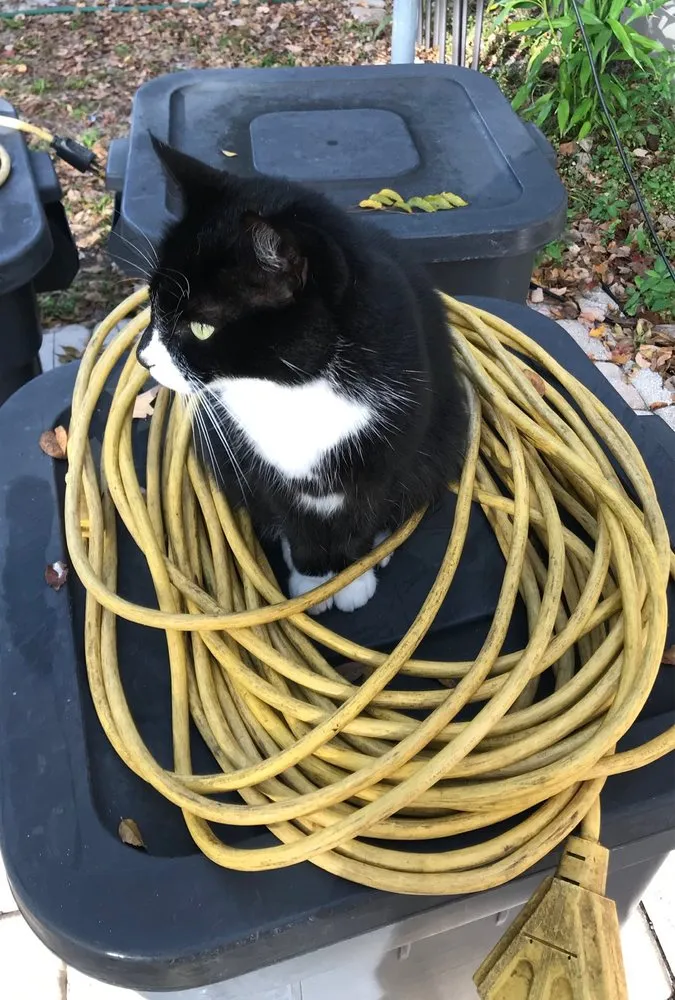 Slide of CM Electric