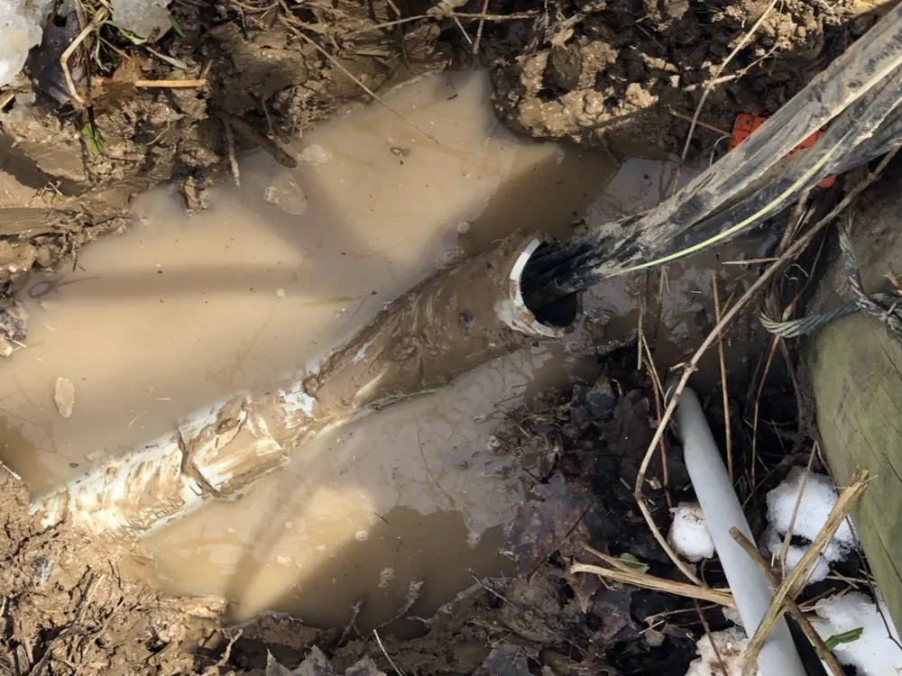 Slide of CNY Electrical