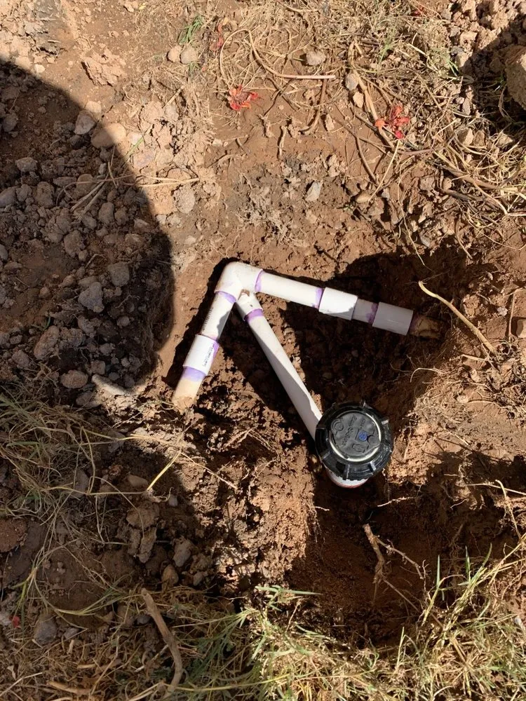 Slide of Coalition Builders and Development