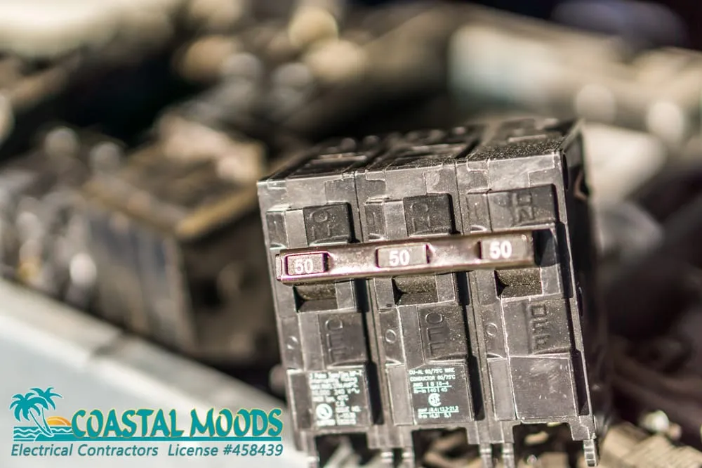 Slide of Coastalmoods Electric