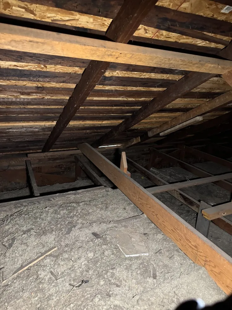 Slide of Coastline BuildingSpecs