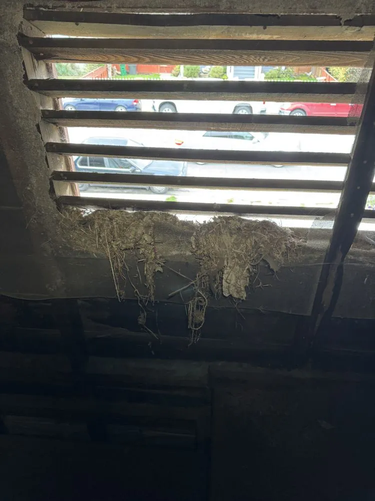 Slide of Coastline BuildingSpecs