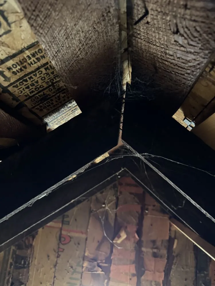 Slide of Coastline BuildingSpecs