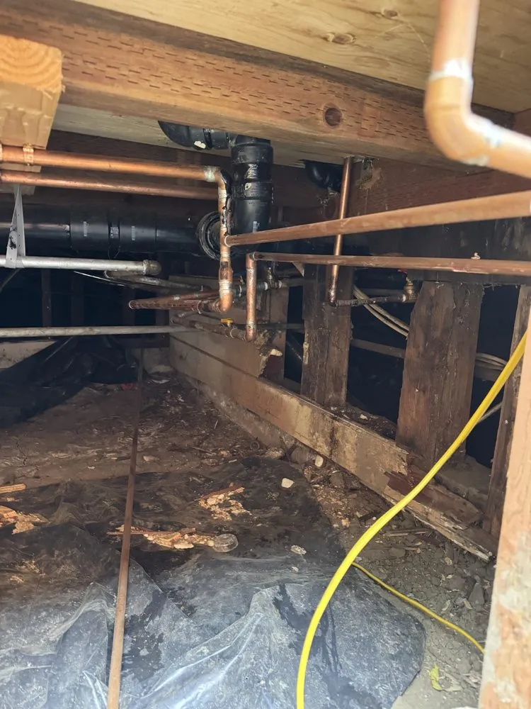 Slide of Coastline BuildingSpecs