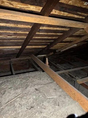 Coastline BuildingSpecs Logo