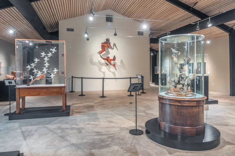 Slide of Coastline Electric