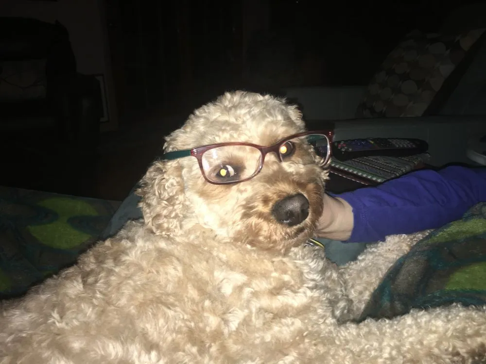 Slide of Cobb Electric