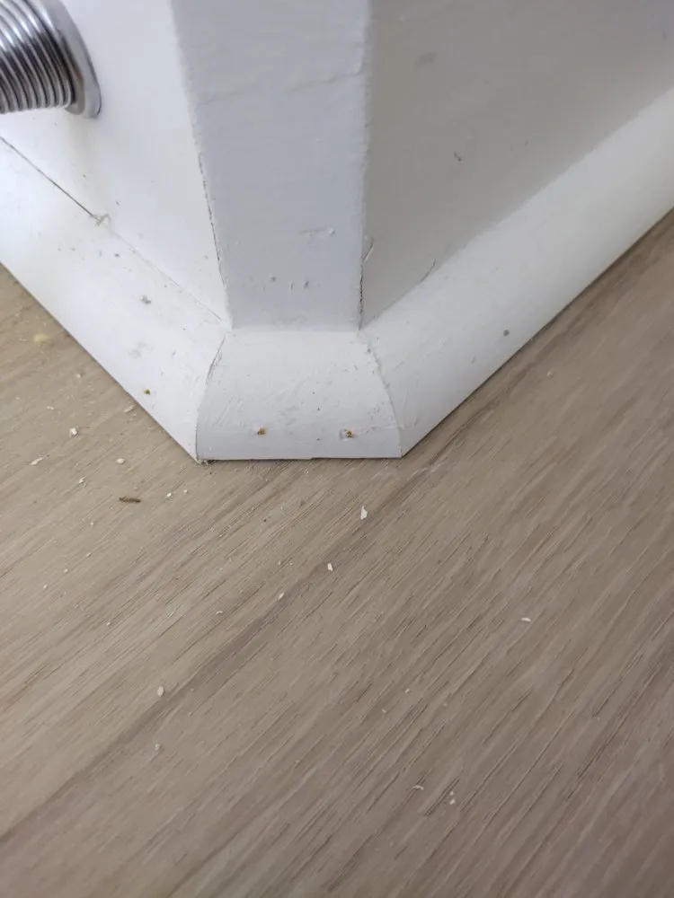 Slide of Cobos Flooring and Electric