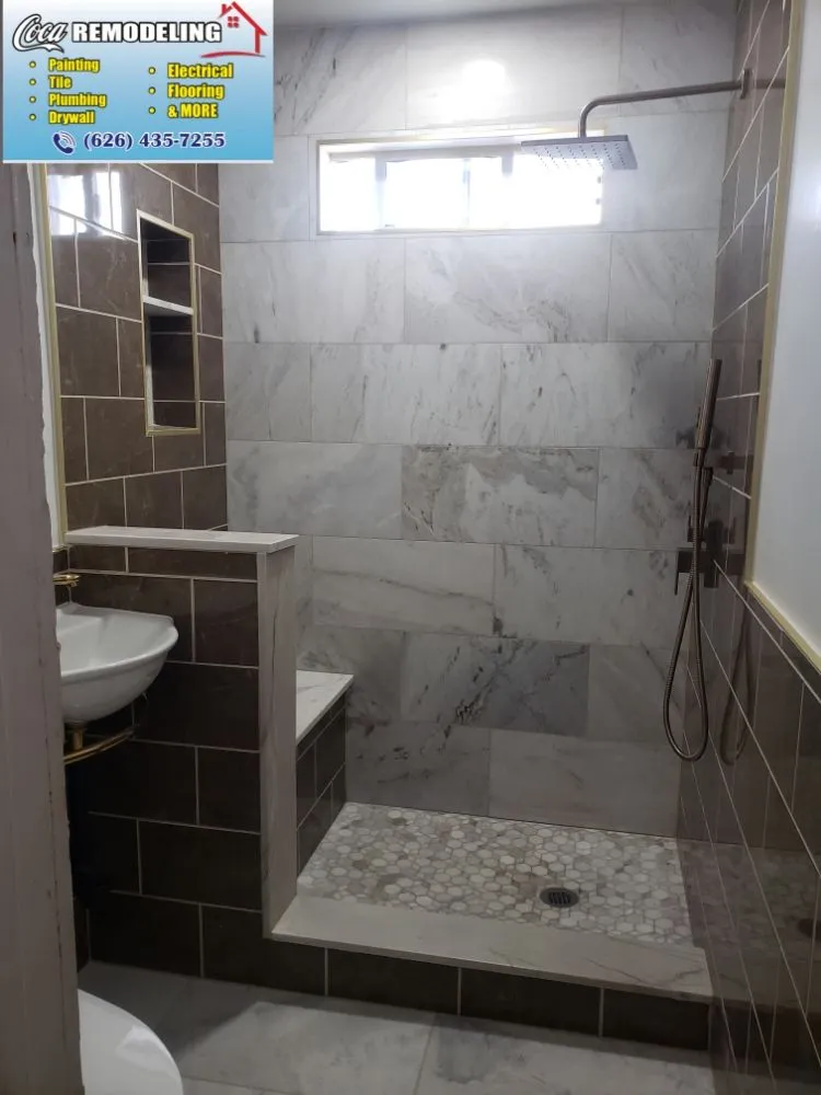 Slide of Coca remodeling