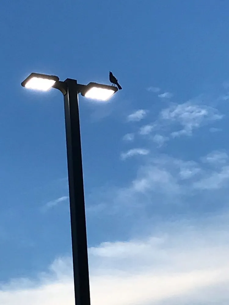 Trusted lighting installation in , by Colonial Electrical Services