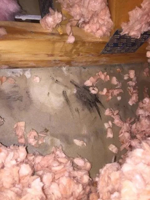 Emergency electrical repair experts serving ,  - Colorado Custom Service