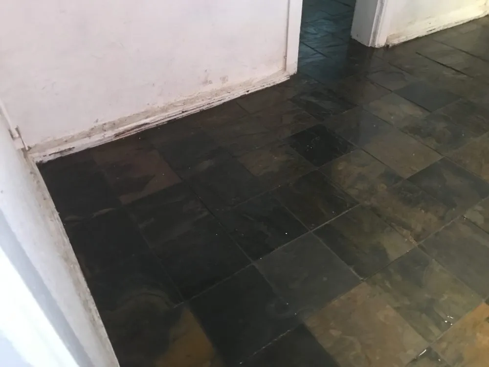 Slide of Colorado Custom Services