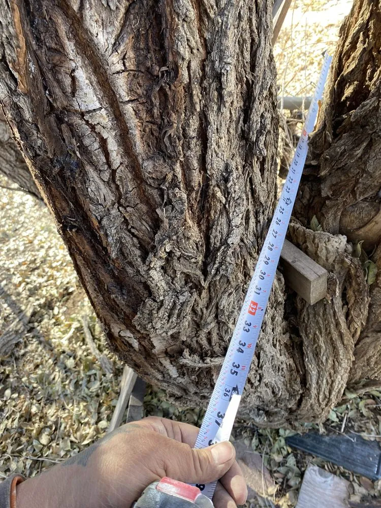 Slide of Colorado Handyman