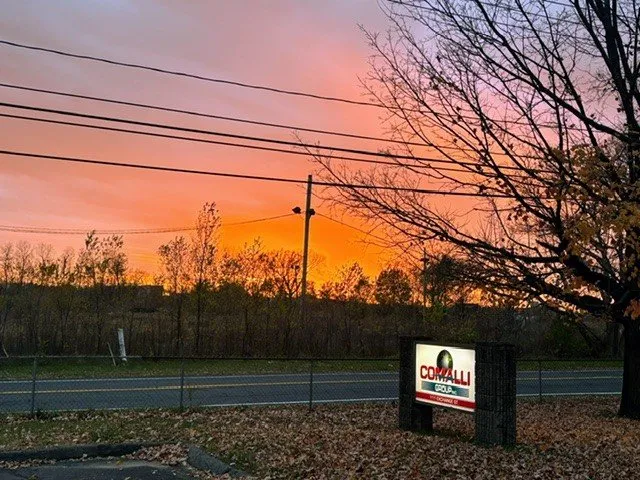 Slide of Comalli Group