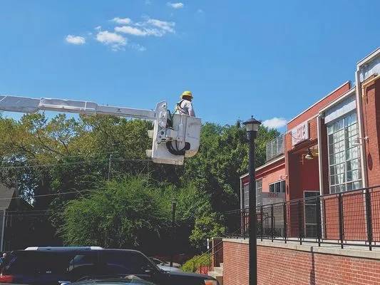 Combined Services Logo