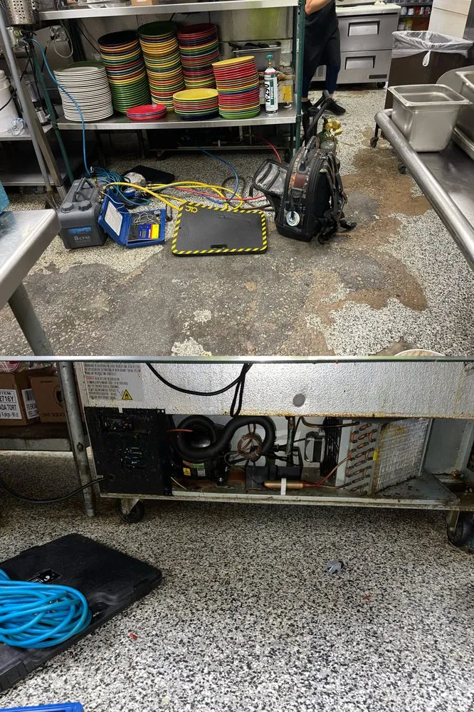 Reliable emergency electrical service experts serving ,  - Commercial Kitchen Service