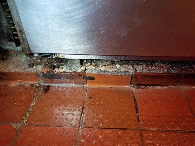 Expert outlet and switch repair experts serving ,  - Commercial Repair Master Services