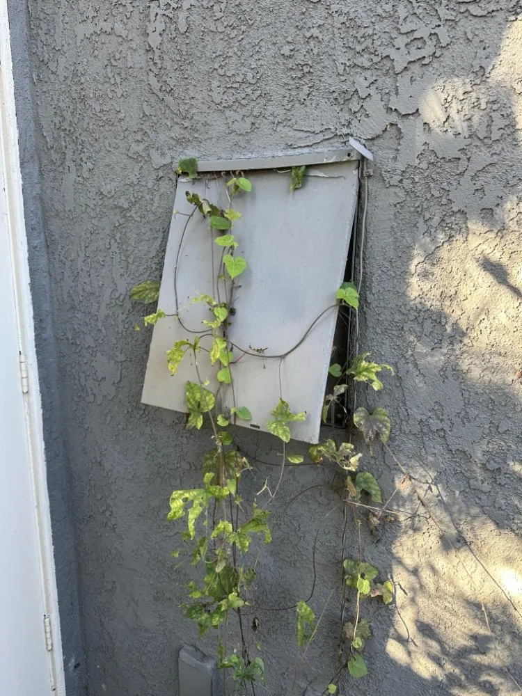 Slide of Community Electrical