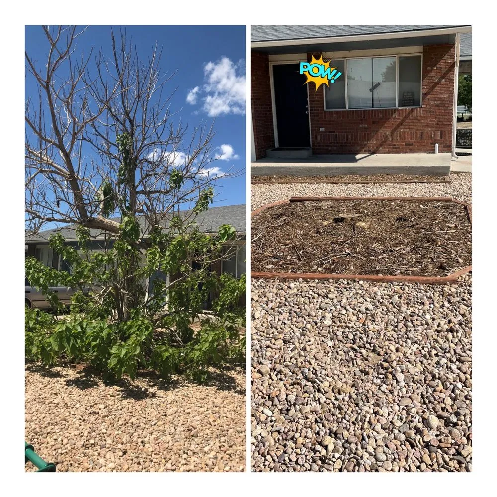 Certified outlet and switch repair service in ,  - Community First Maintenance Handyman Services