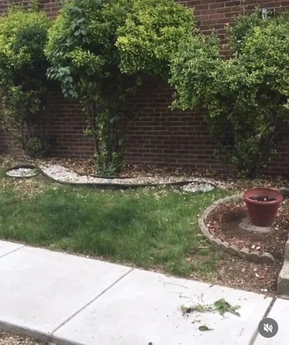 Slide of Community Wealth Group Economics