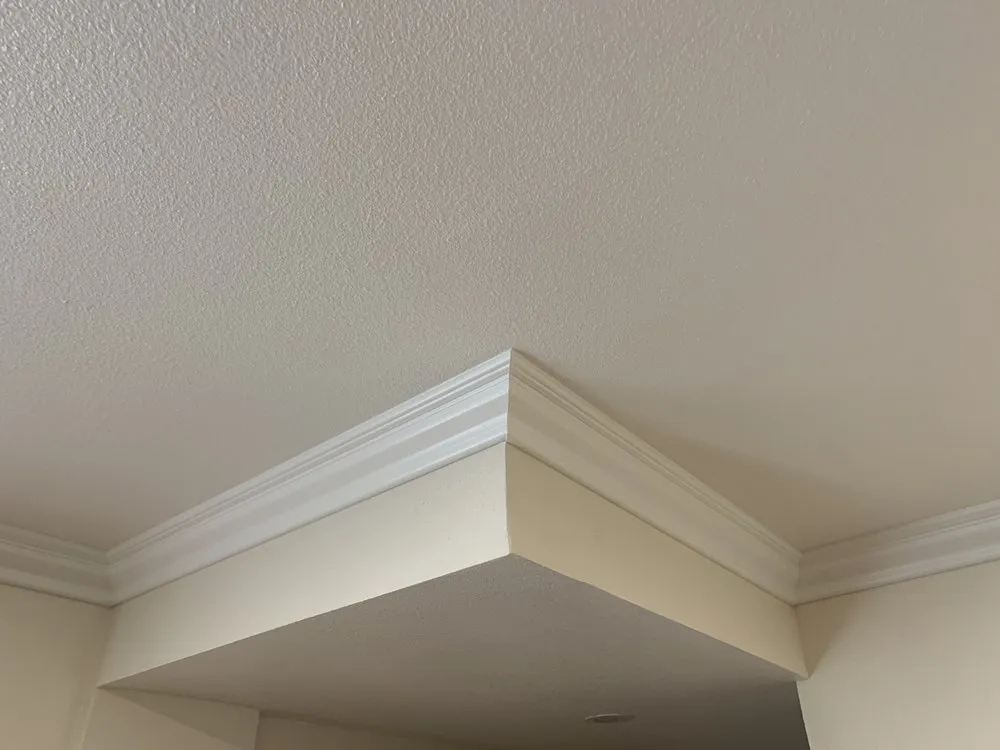 Reliable outlet and switch repair experts serving , - Complete And Total Construction