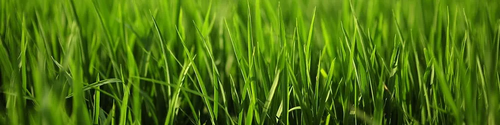 Slide of Complete Electric