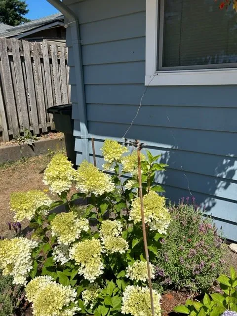 Affordable circuit breaker repair experts serving ,  - Complete Electric Service